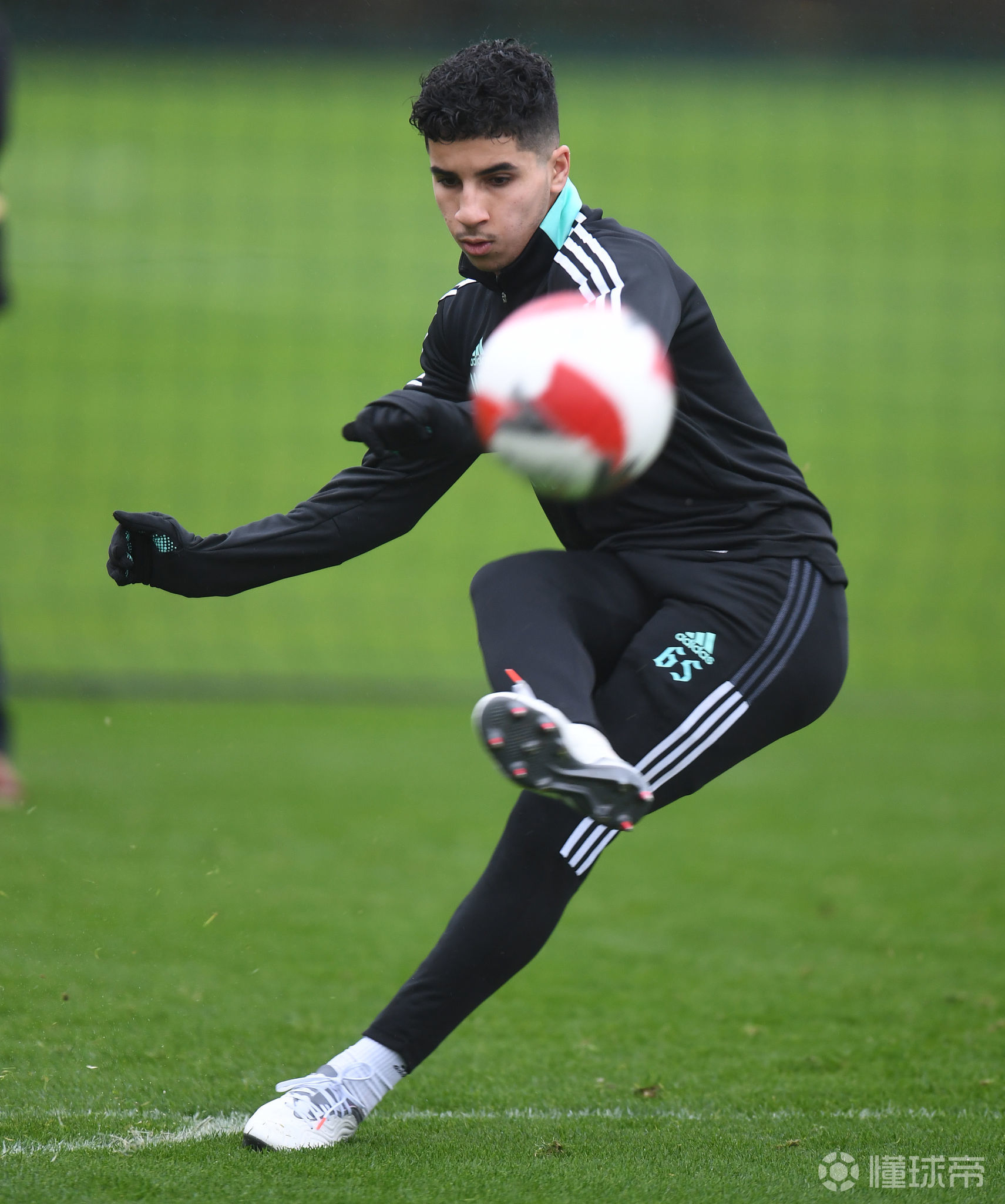 布鲁克林篮网官网