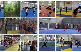 托特纳姆热刺队阵容