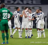 托特纳姆热刺队阵容